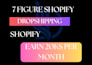 build a turnkey dropshipping shopify or ebay store  website